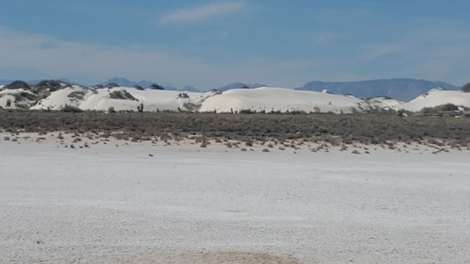 White Sands Playa and Dune Life Trails 